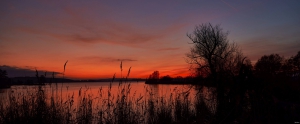 Sonnenuntergang am Trebelsee