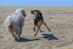 02