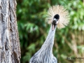 f/11 1/100s ISO-450 380mm