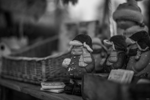 2026-10-18-10-13-44-NIKON-Z-8