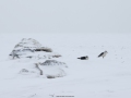 Nikon D800 f/8 1/125s ISO-100 70mm