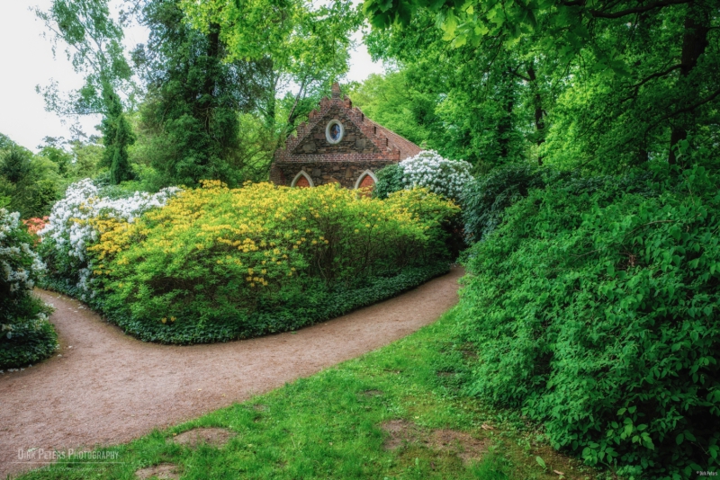 Im Wörlitzer Park
