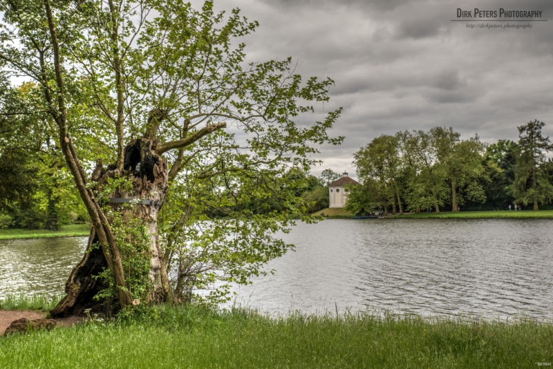 Im Wörlitzer Park