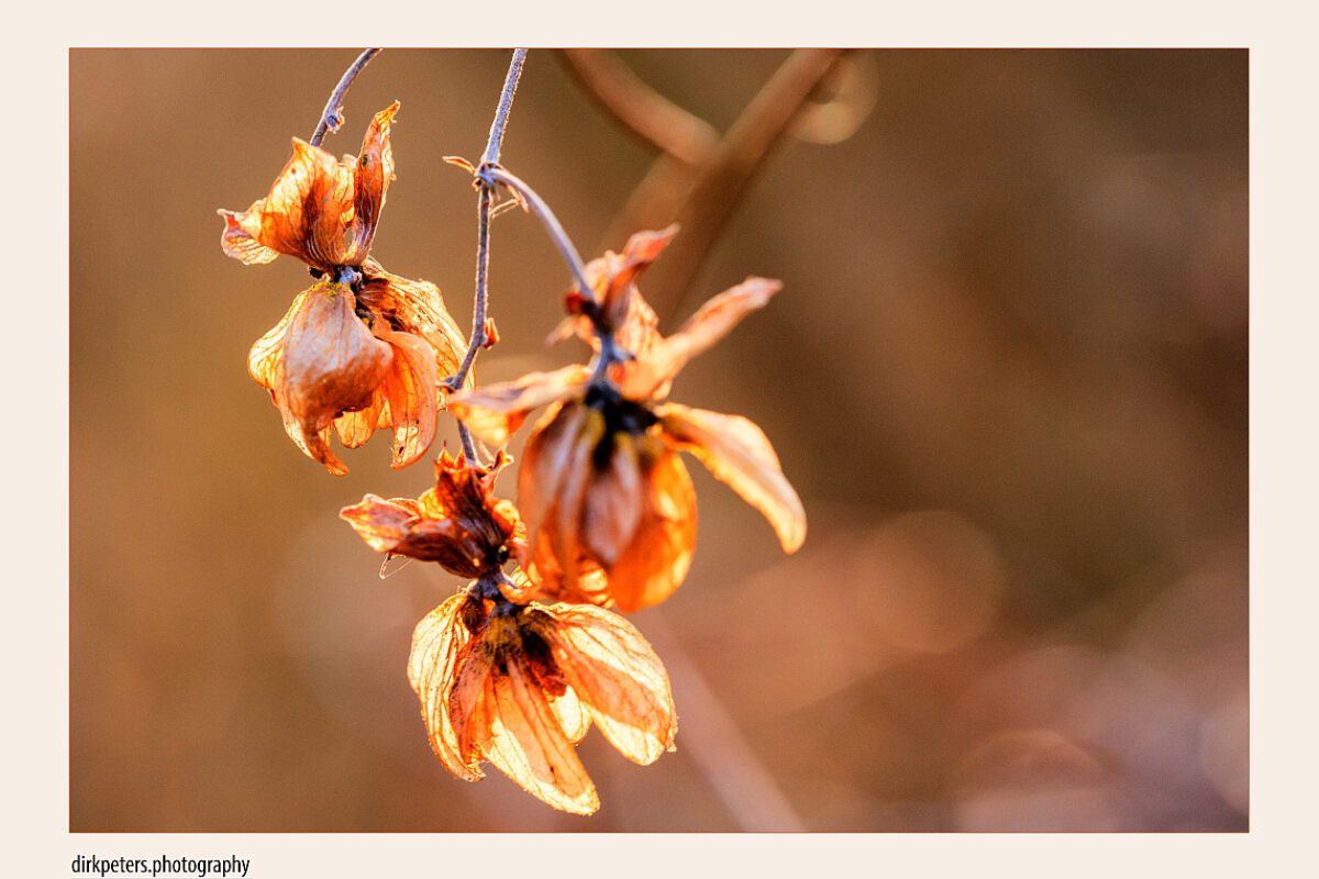 Winterfarben