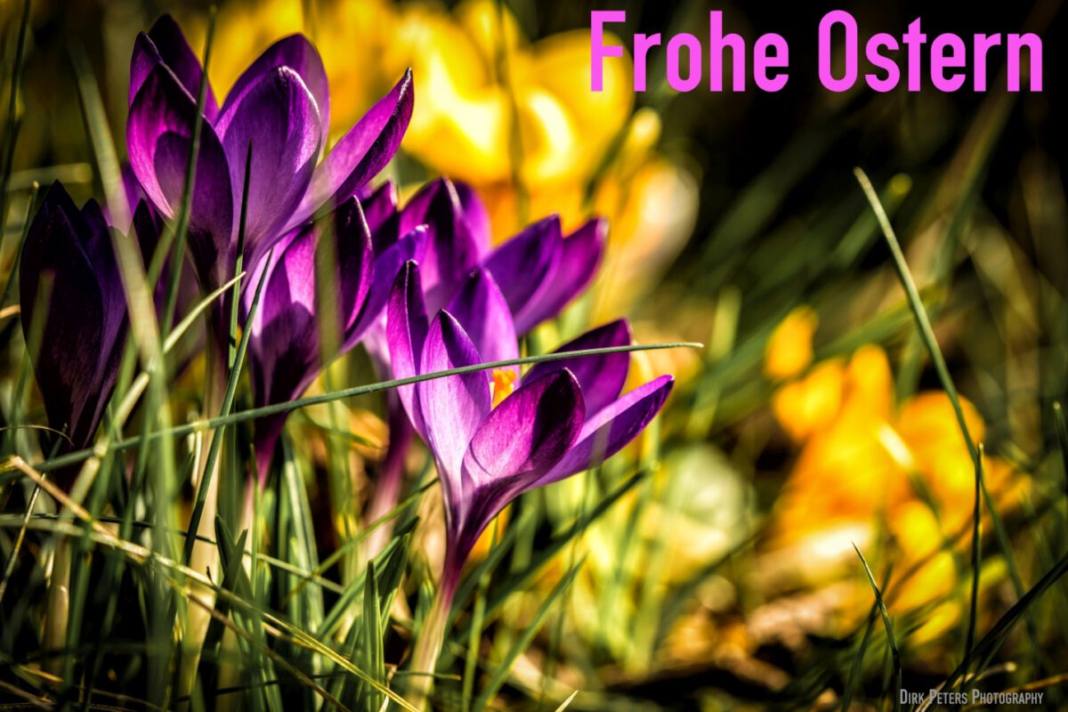 Frohe Ostern!