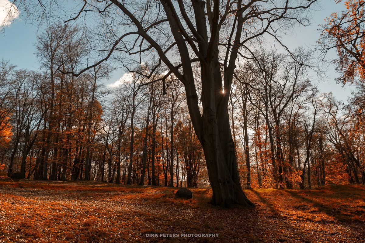 Landschaftspark Klein Glienicke