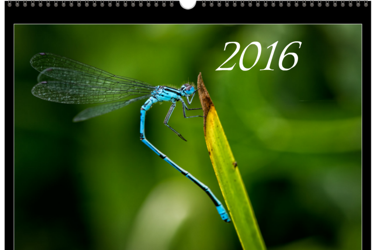 Kalender 2016