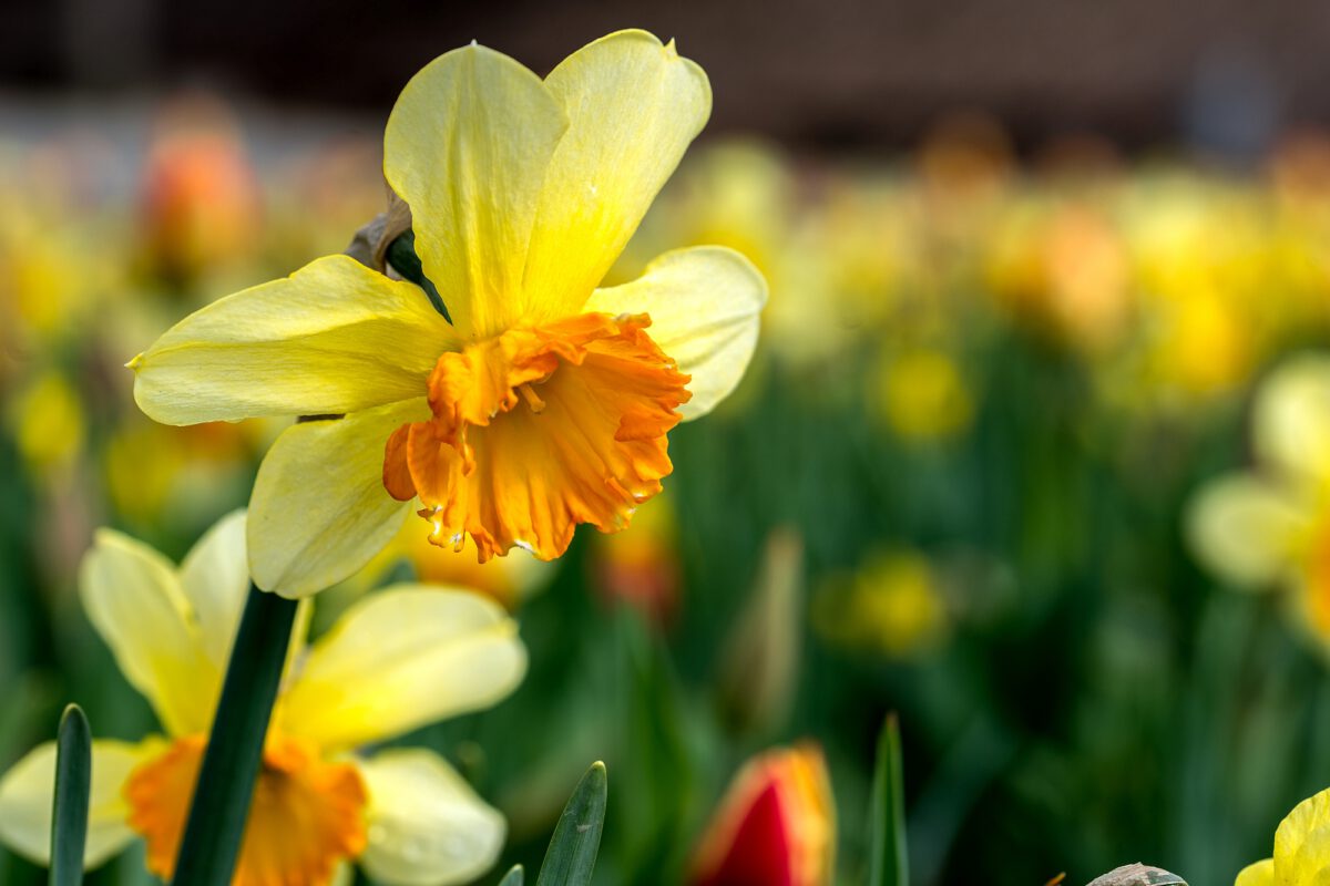 Ostern unterwegs