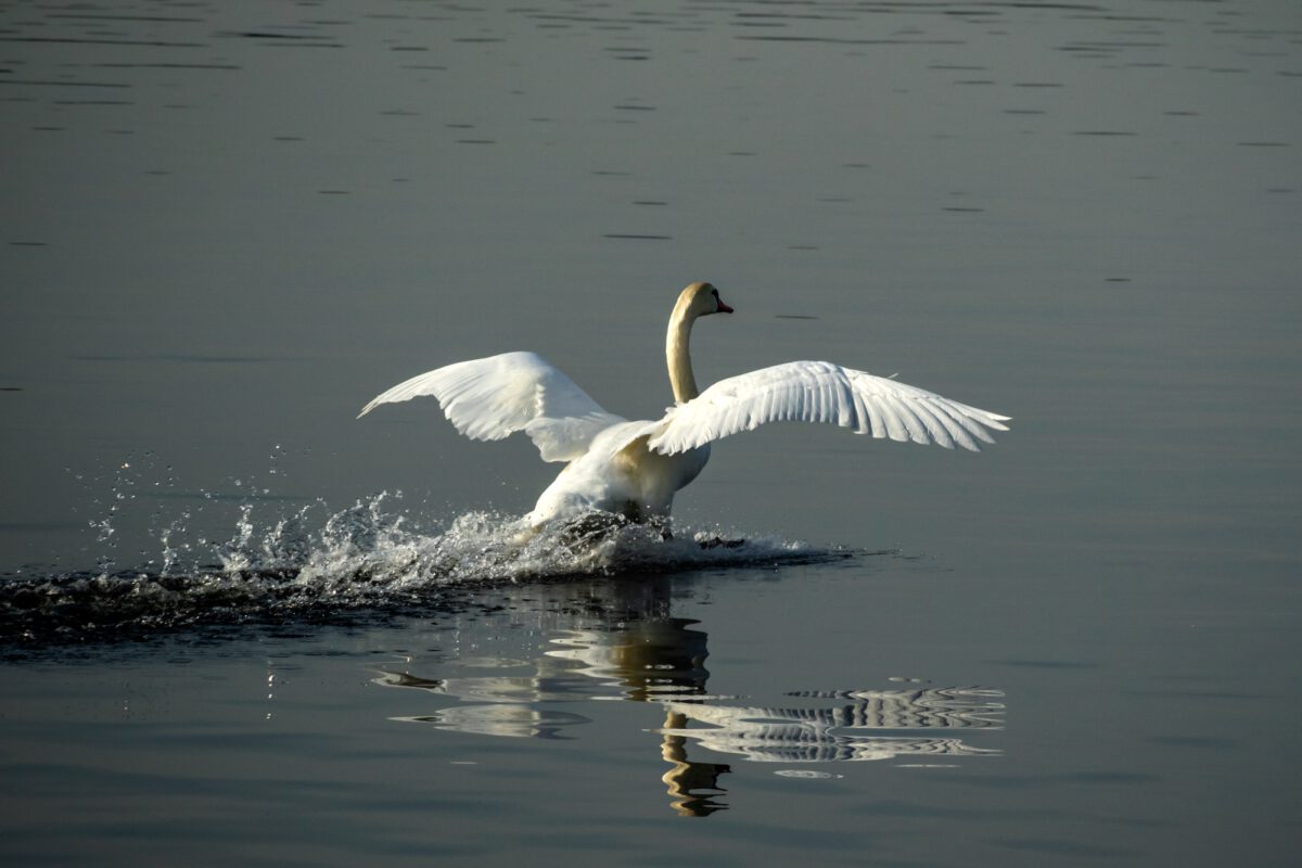 Am Sacrow-Paretzer Kanal