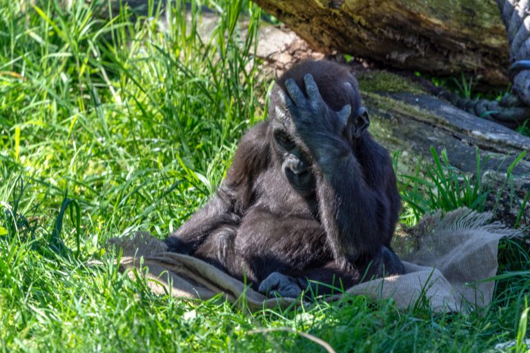 Der Zoo in Leipzig