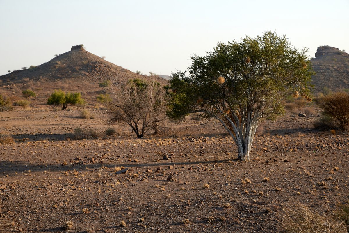 Namibia 2019 – Teil 1