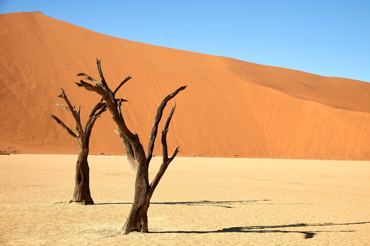 Namibia 2019