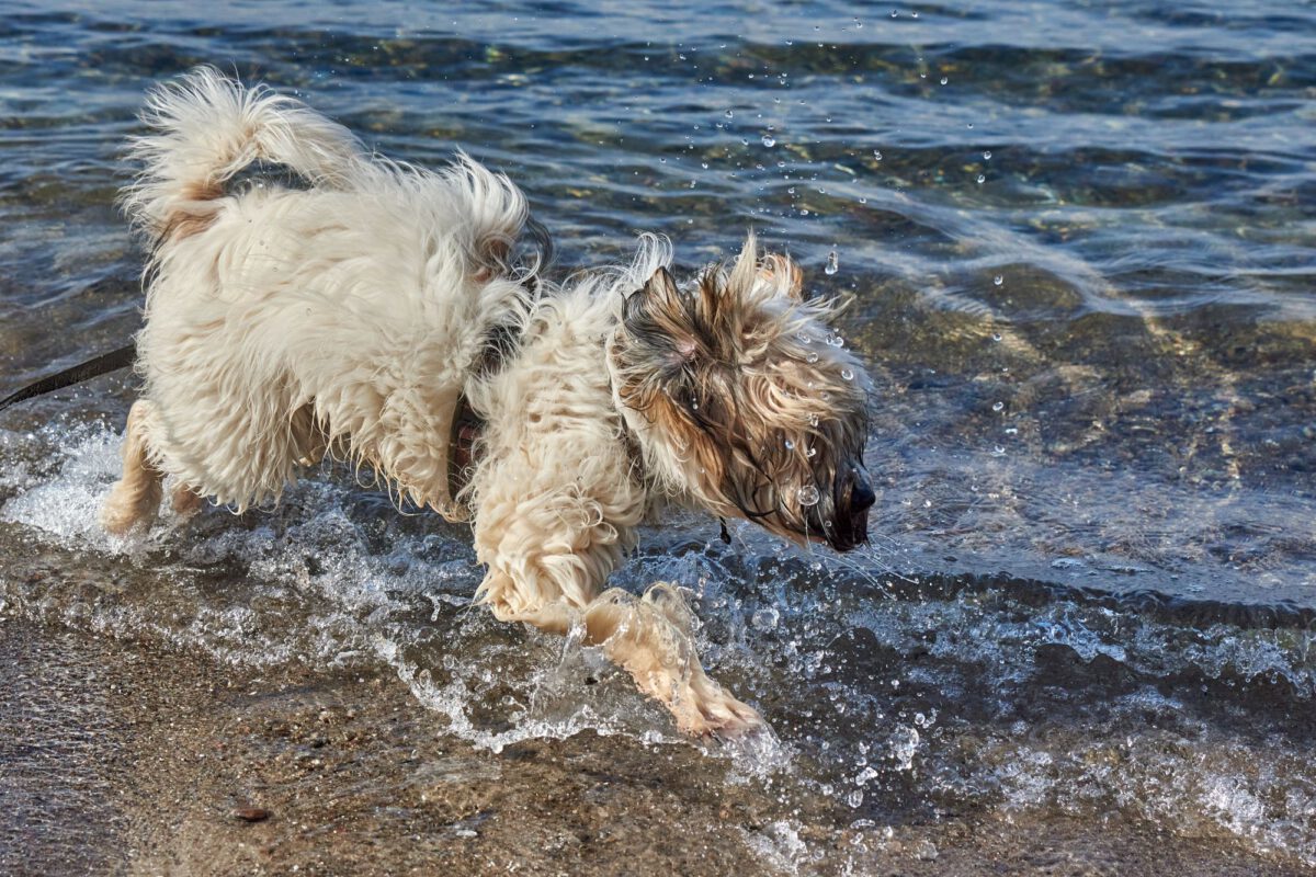 An der Ostsee