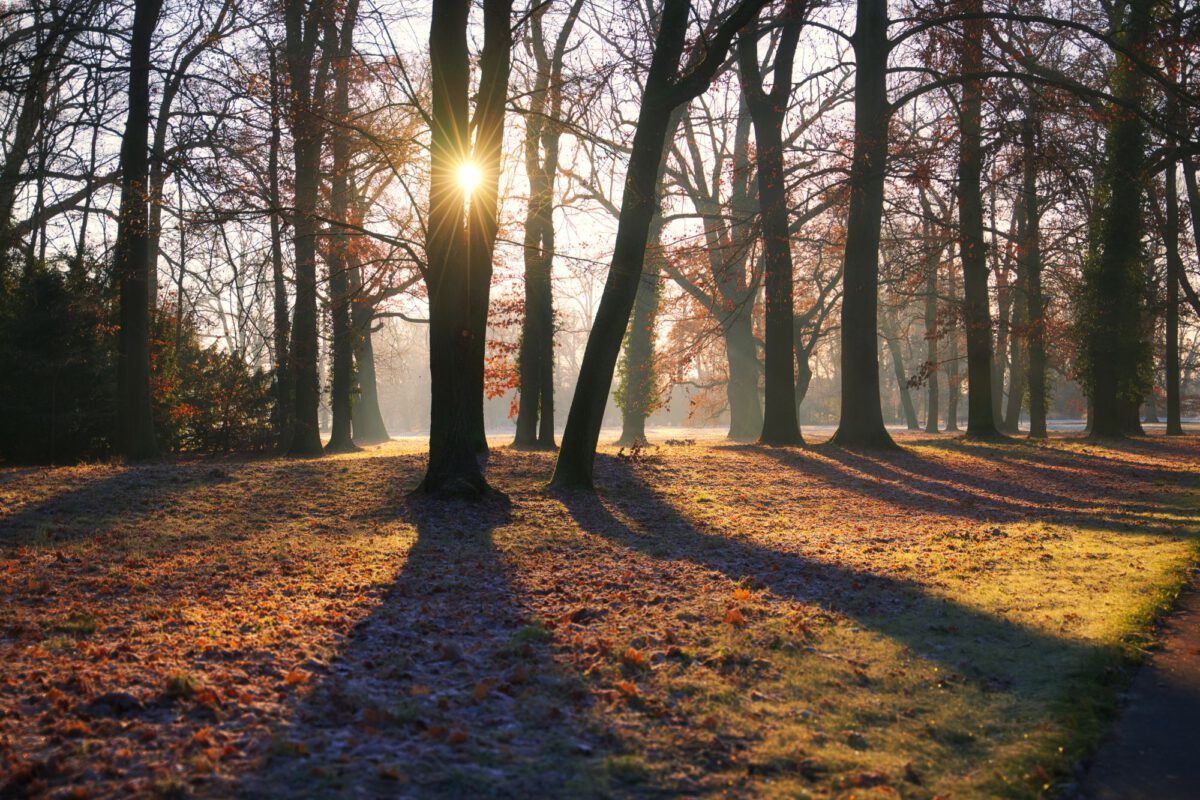 Sonntagmorgen im Neuen Garten