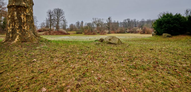 Park Babelsberg in Grau