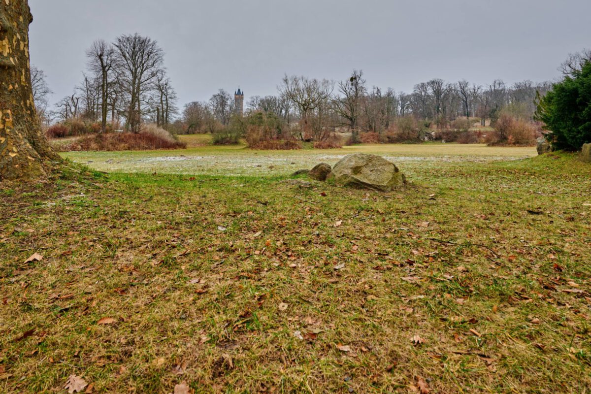 Park Babelsberg in Grau