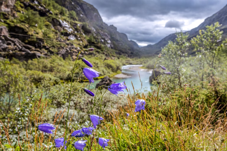 Südnorwegen 2025 Teil 3