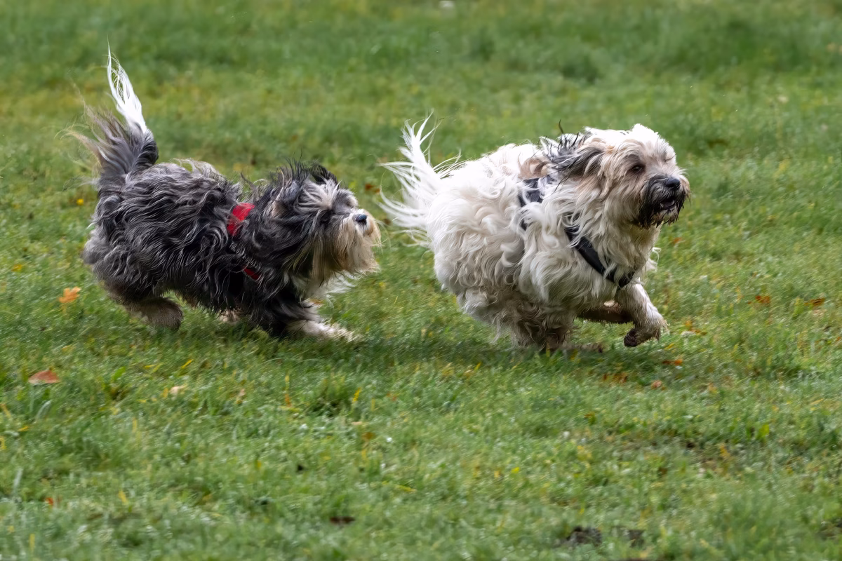 Spielstunde in Petzow