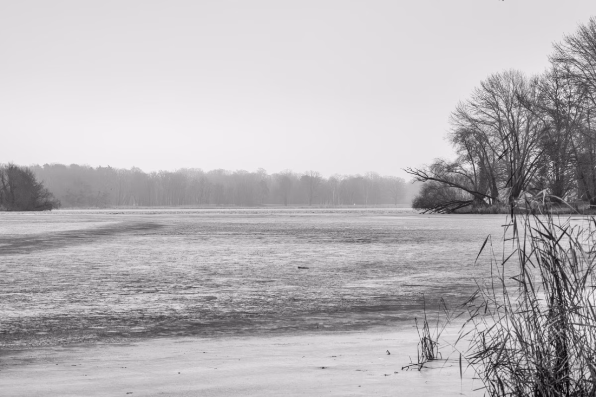 Ein grauer Morgen am Jungfernsee