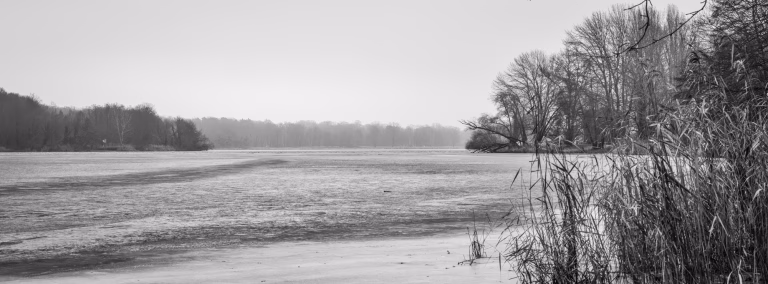Ein grauer Morgen am Jungfernsee