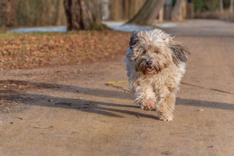 Endlich wieder Sonne