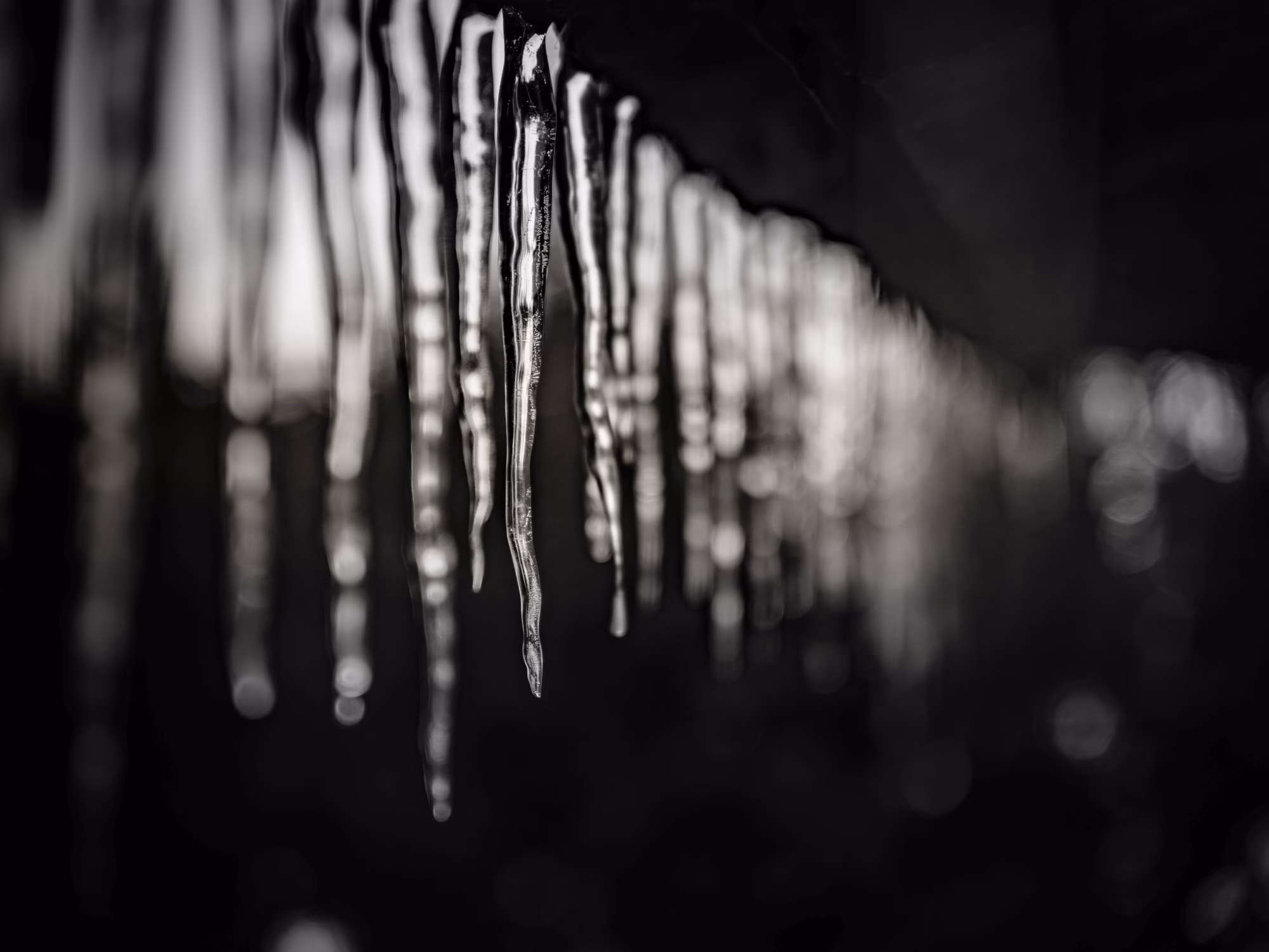 Nachmittagsspaziergang