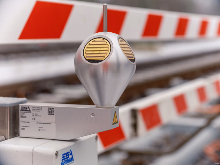 Das Sigma 105 2.8 Macro an der GFX