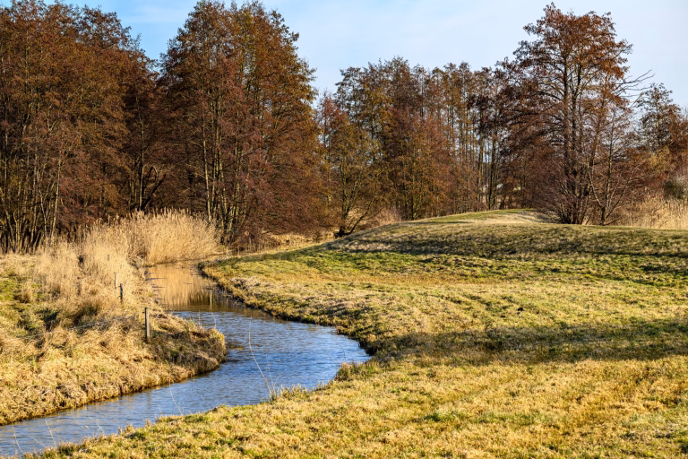 Sonntagmorgen am Deich