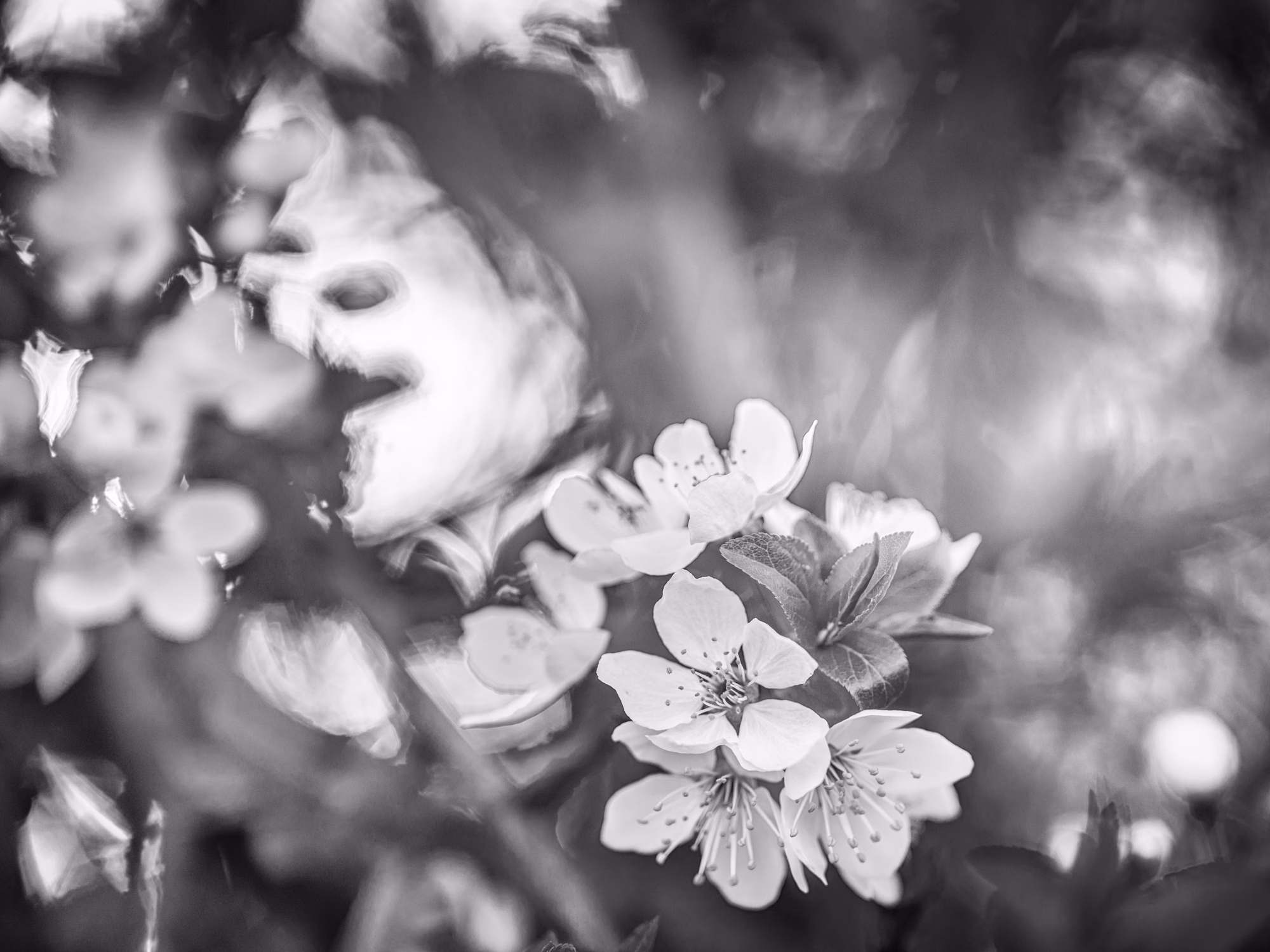 Es muss nicht immer Farbe sein.