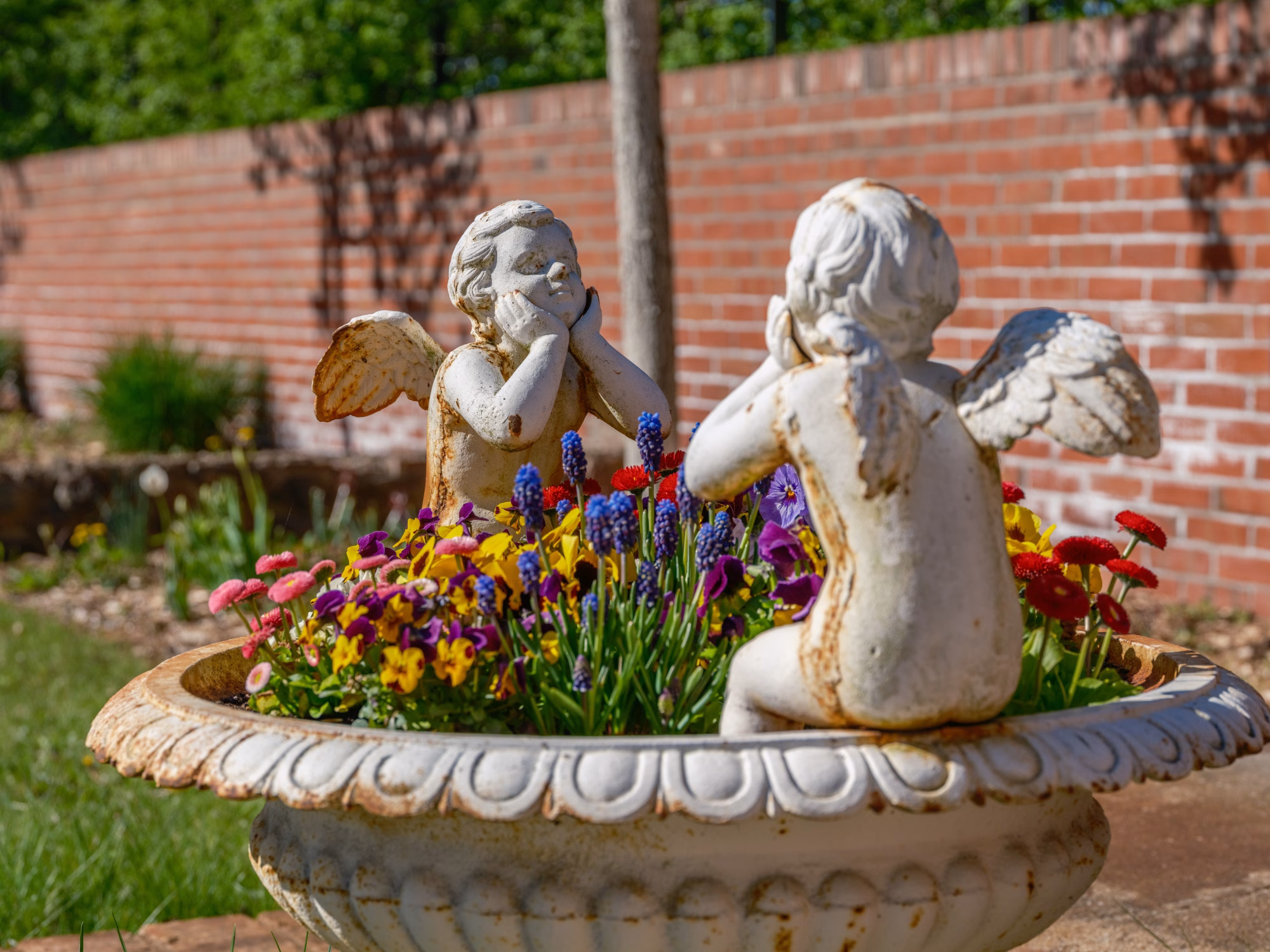 Im Beelitzer Stadtpark