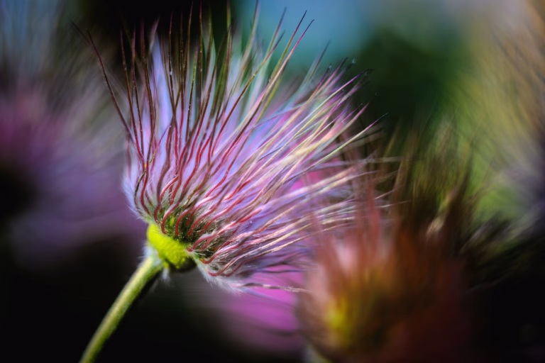 Licht und Farben