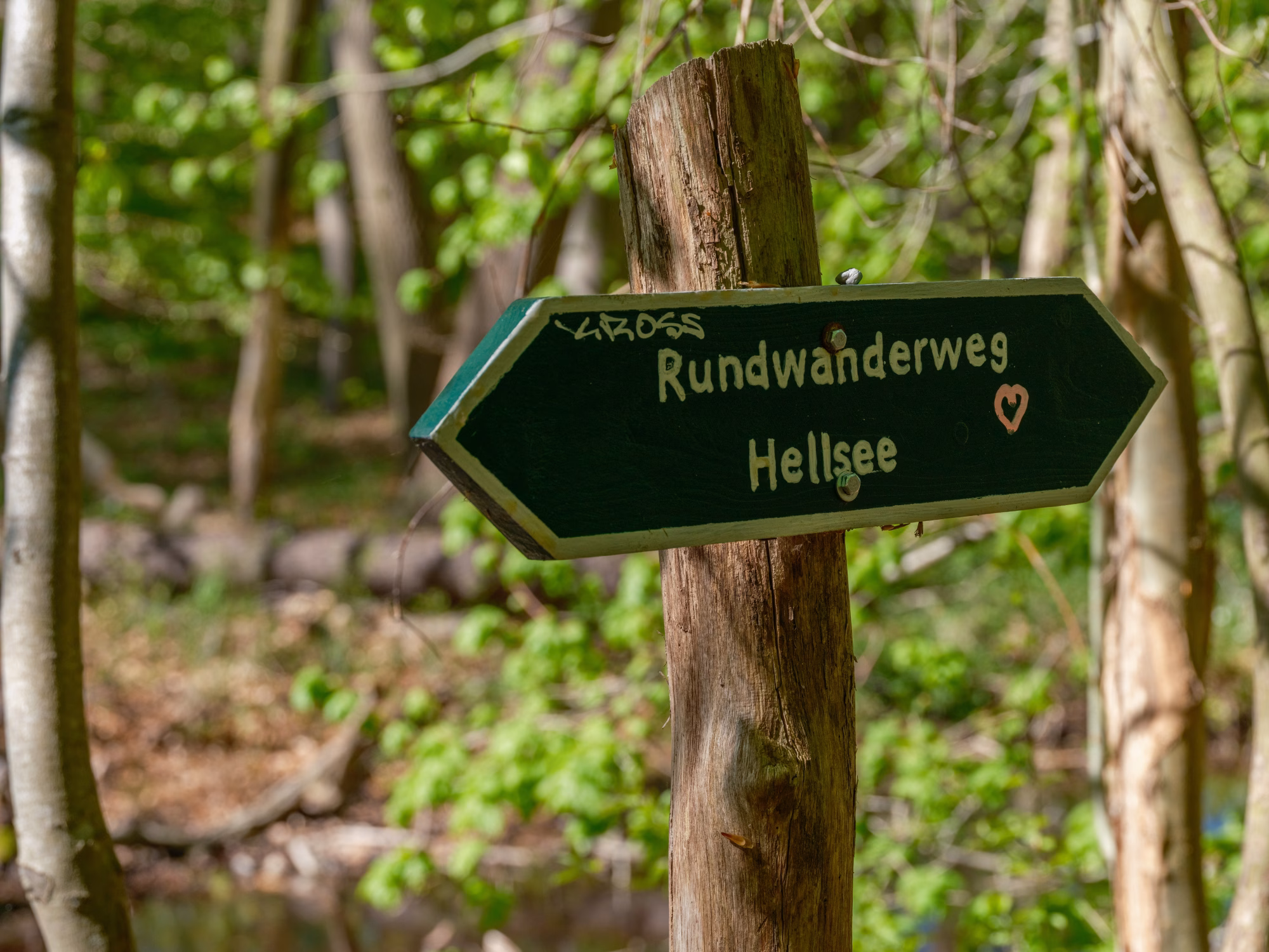 Rund um den Hellsee