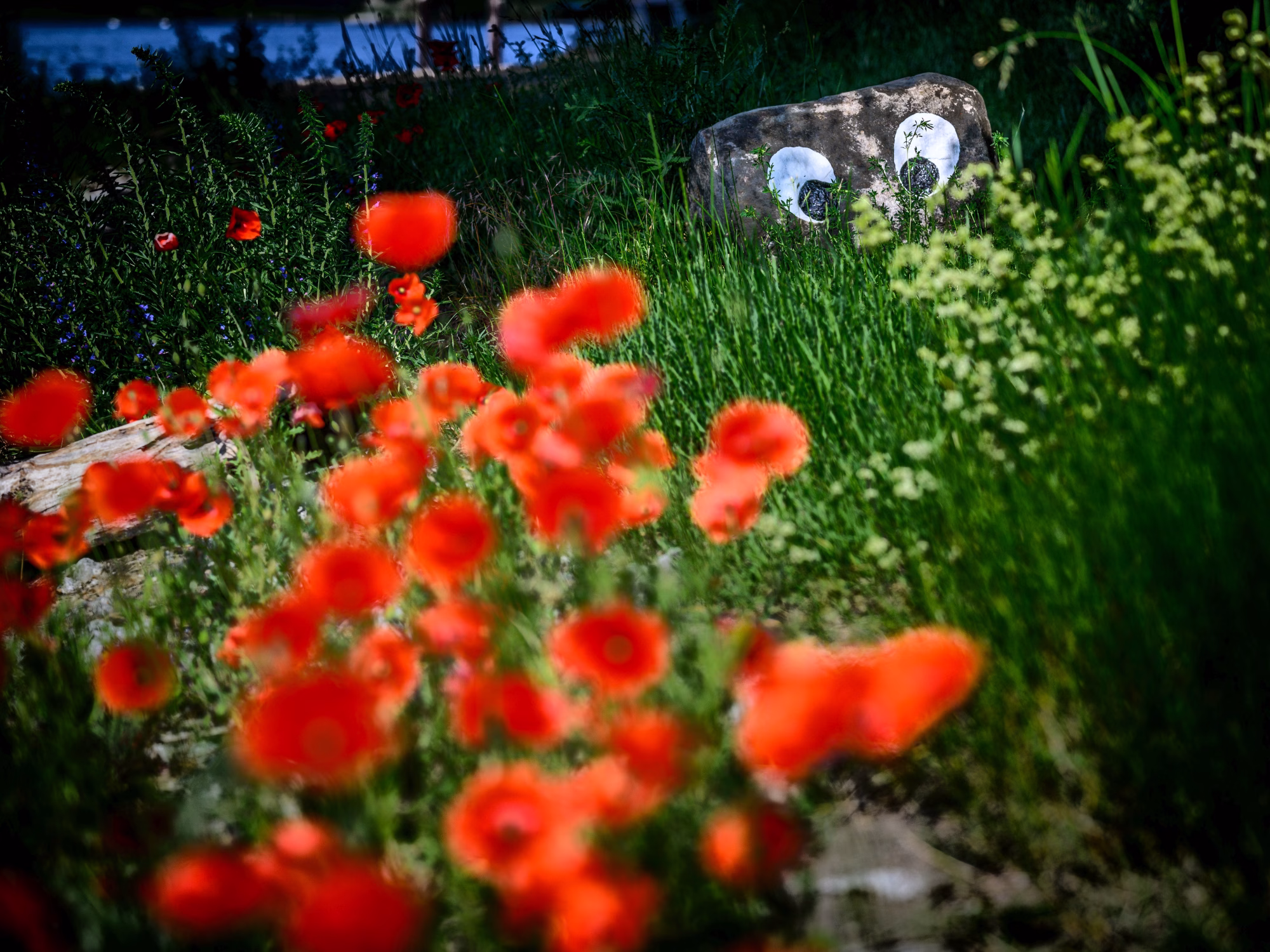 Im Park von Marquardt